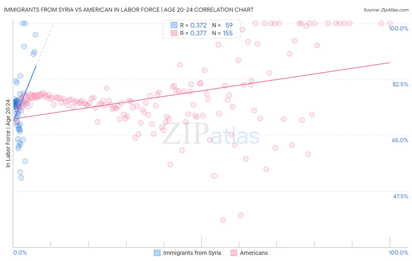 Immigrants from Syria vs American In Labor Force | Age 20-24