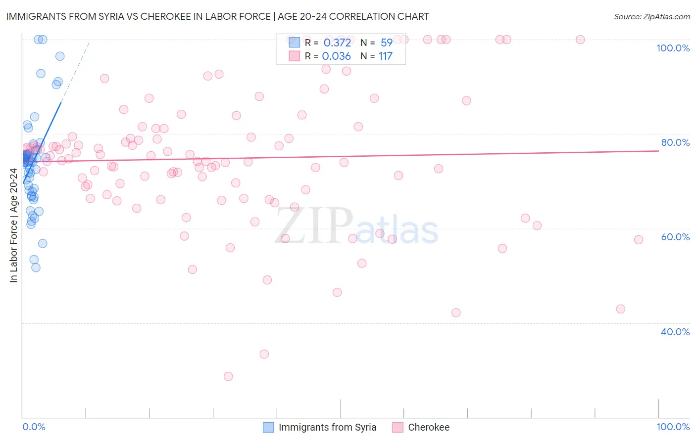 Immigrants from Syria vs Cherokee In Labor Force | Age 20-24