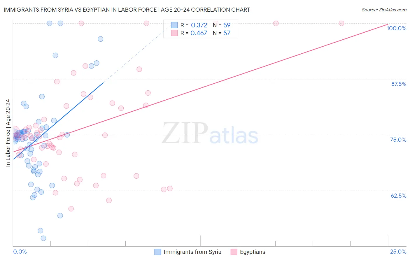 Immigrants from Syria vs Egyptian In Labor Force | Age 20-24