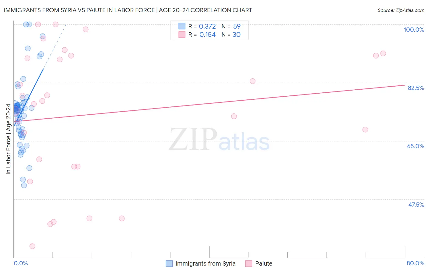 Immigrants from Syria vs Paiute In Labor Force | Age 20-24