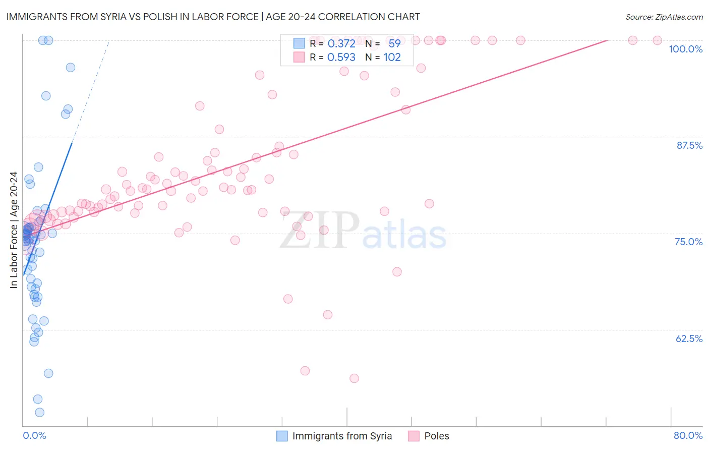 Immigrants from Syria vs Polish In Labor Force | Age 20-24
