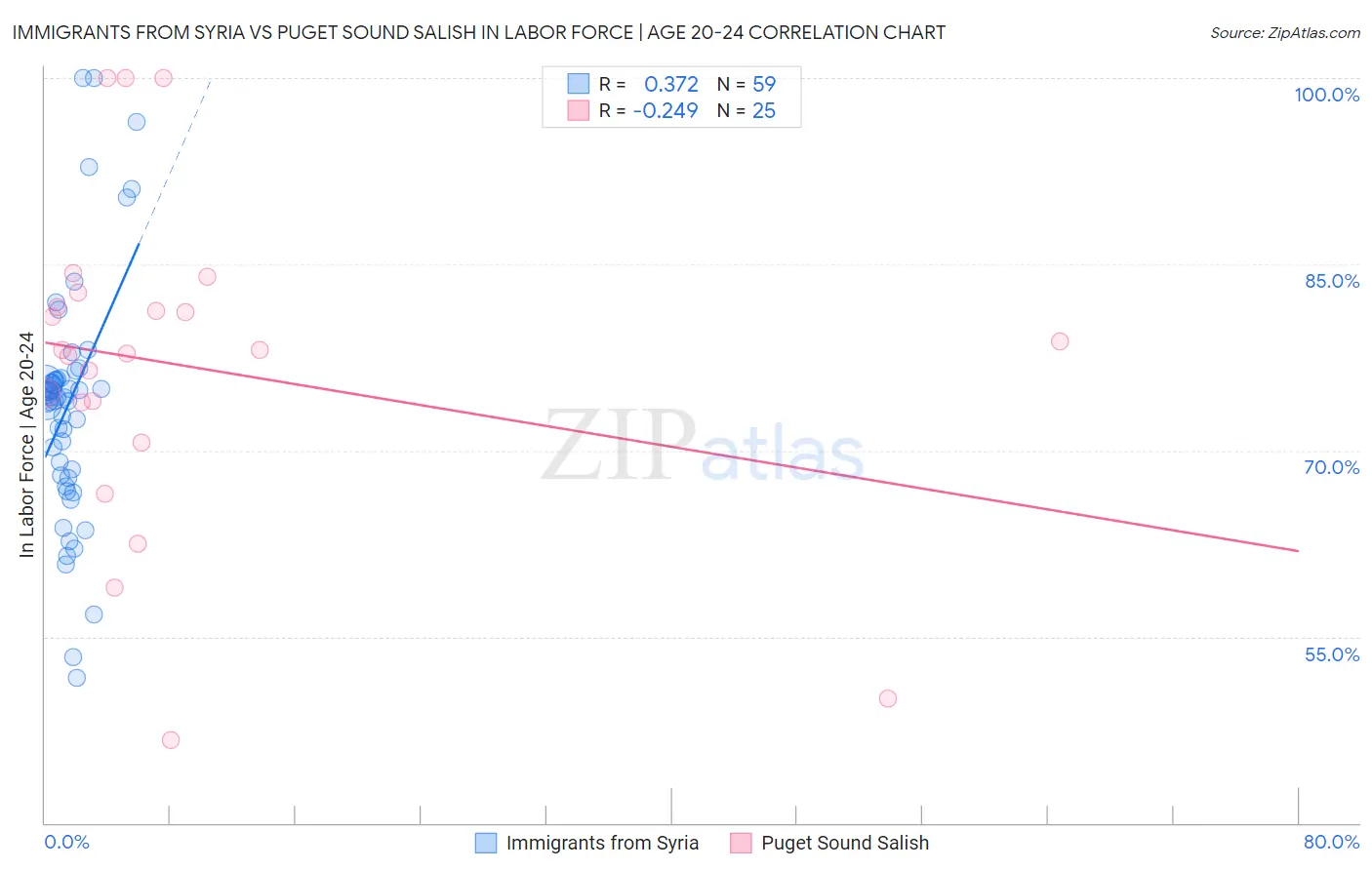 Immigrants from Syria vs Puget Sound Salish In Labor Force | Age 20-24