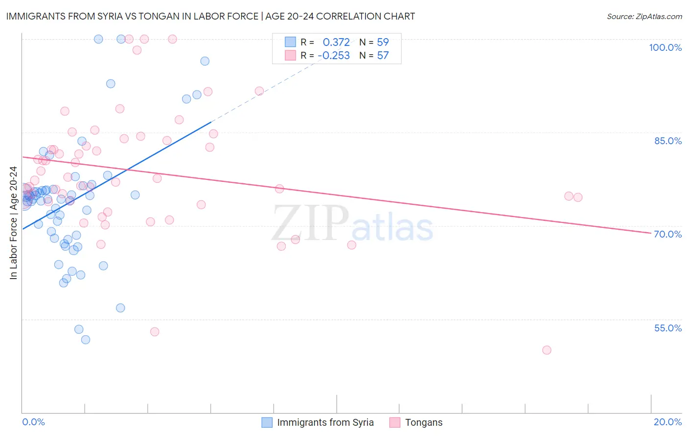 Immigrants from Syria vs Tongan In Labor Force | Age 20-24
