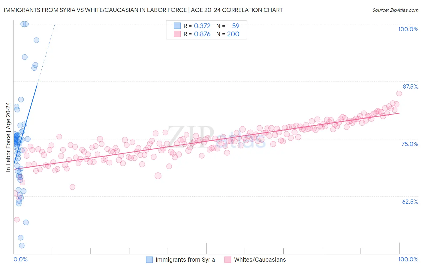 Immigrants from Syria vs White/Caucasian In Labor Force | Age 20-24