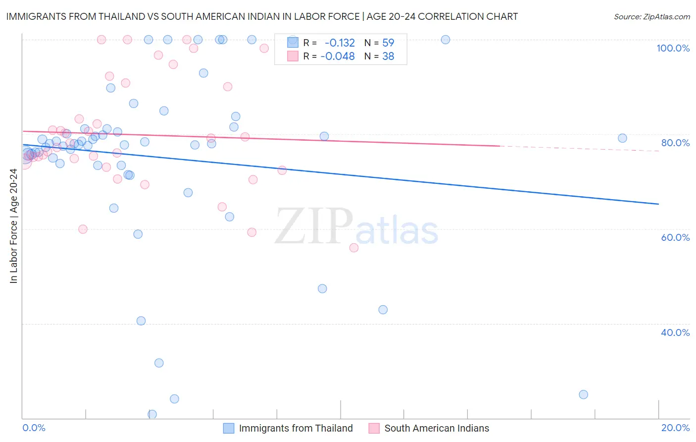 Immigrants from Thailand vs South American Indian In Labor Force | Age 20-24