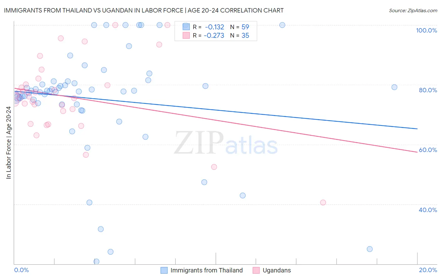 Immigrants from Thailand vs Ugandan In Labor Force | Age 20-24