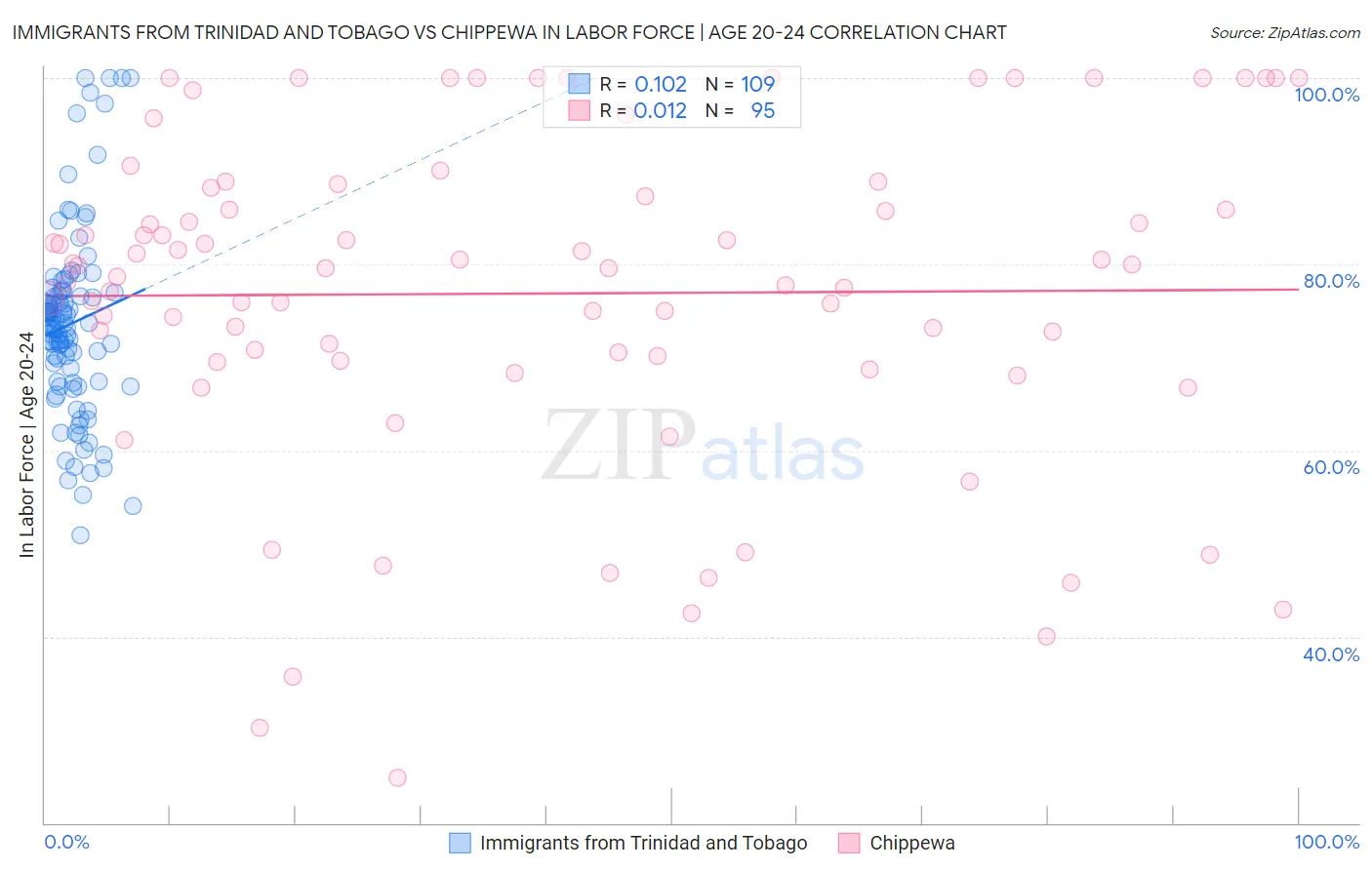 Immigrants from Trinidad and Tobago vs Chippewa In Labor Force | Age 20-24