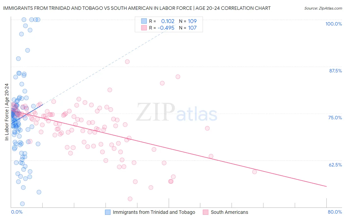 Immigrants from Trinidad and Tobago vs South American In Labor Force | Age 20-24