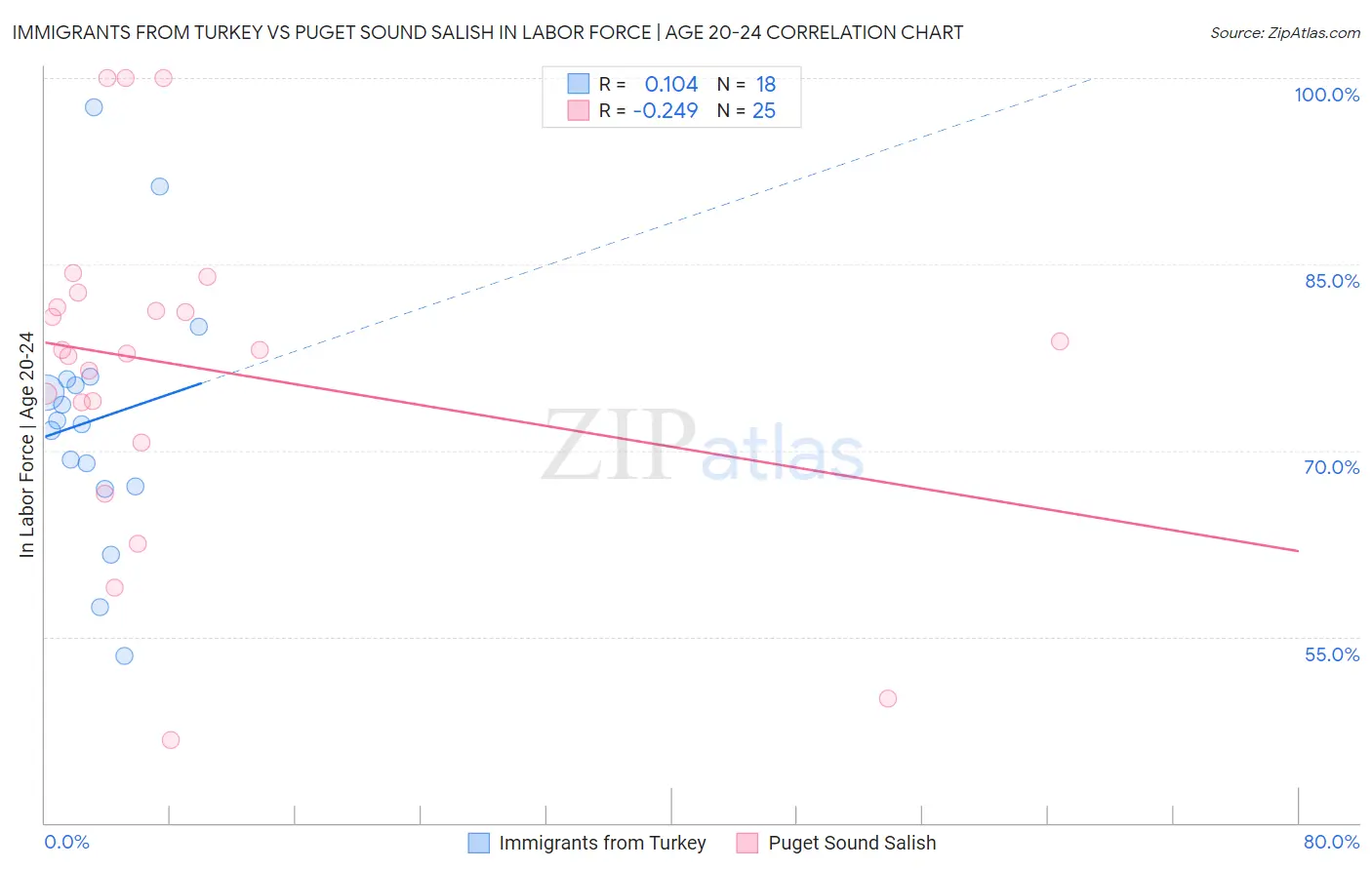 Immigrants from Turkey vs Puget Sound Salish In Labor Force | Age 20-24