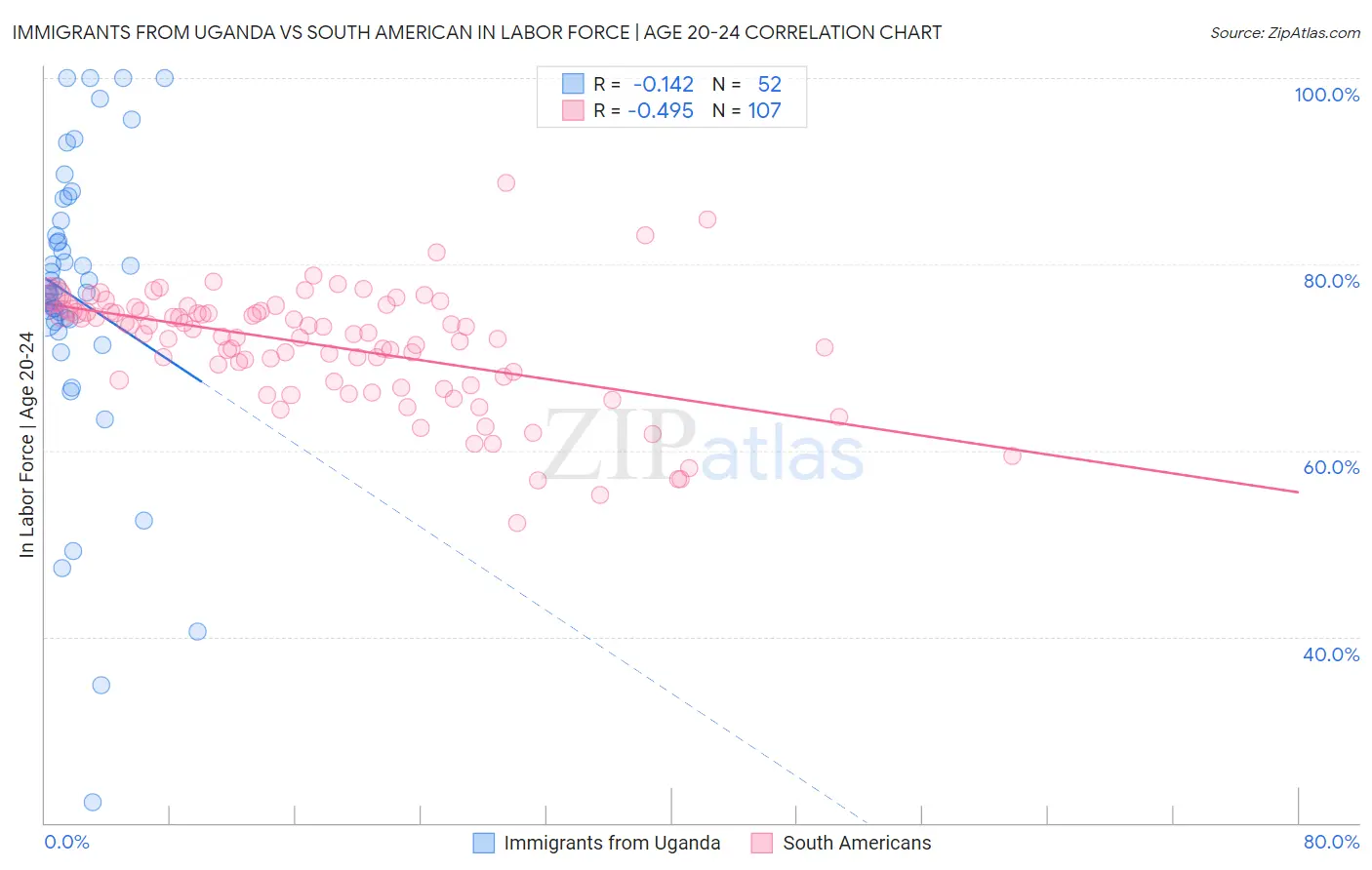 Immigrants from Uganda vs South American In Labor Force | Age 20-24