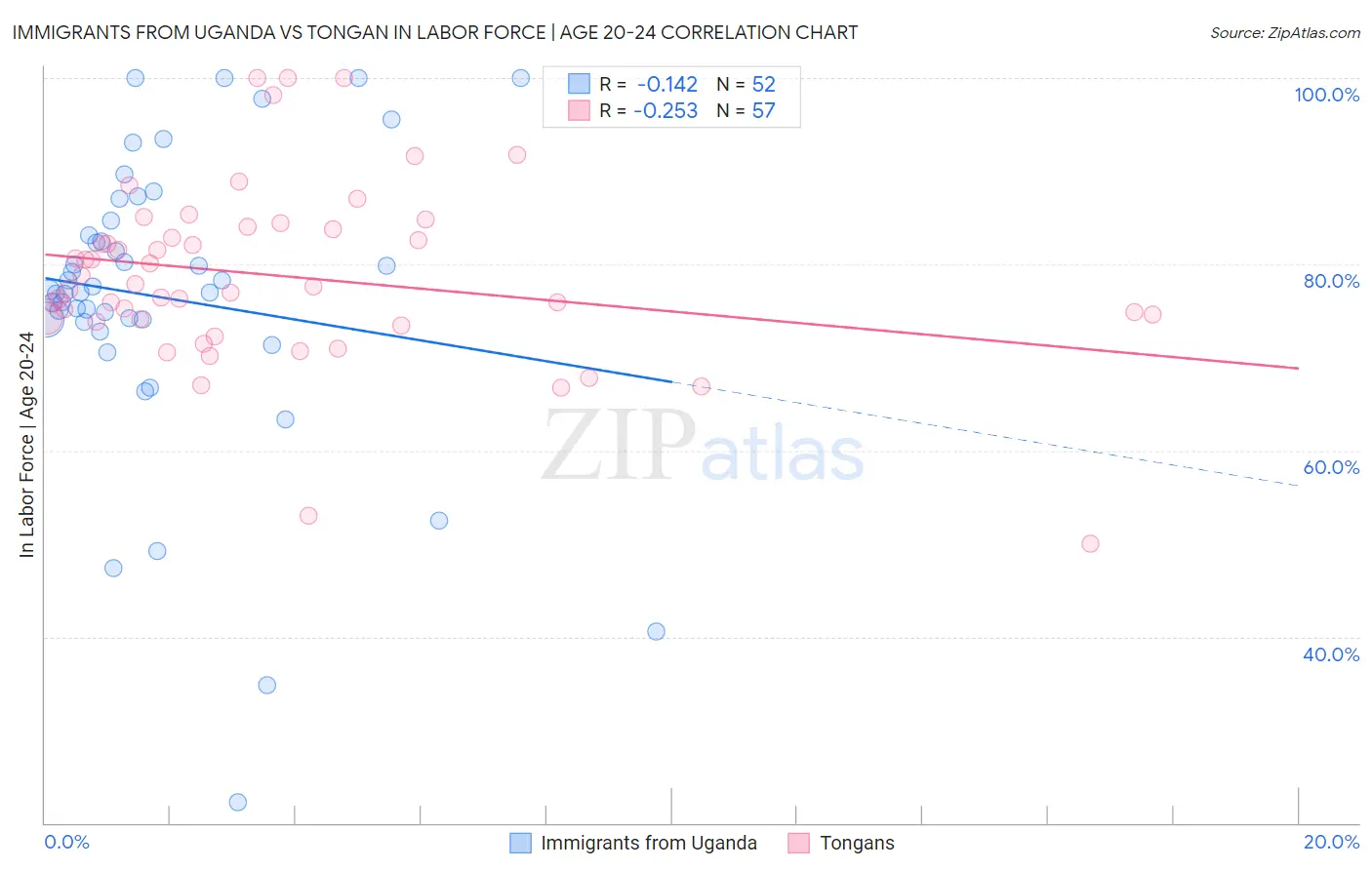 Immigrants from Uganda vs Tongan In Labor Force | Age 20-24