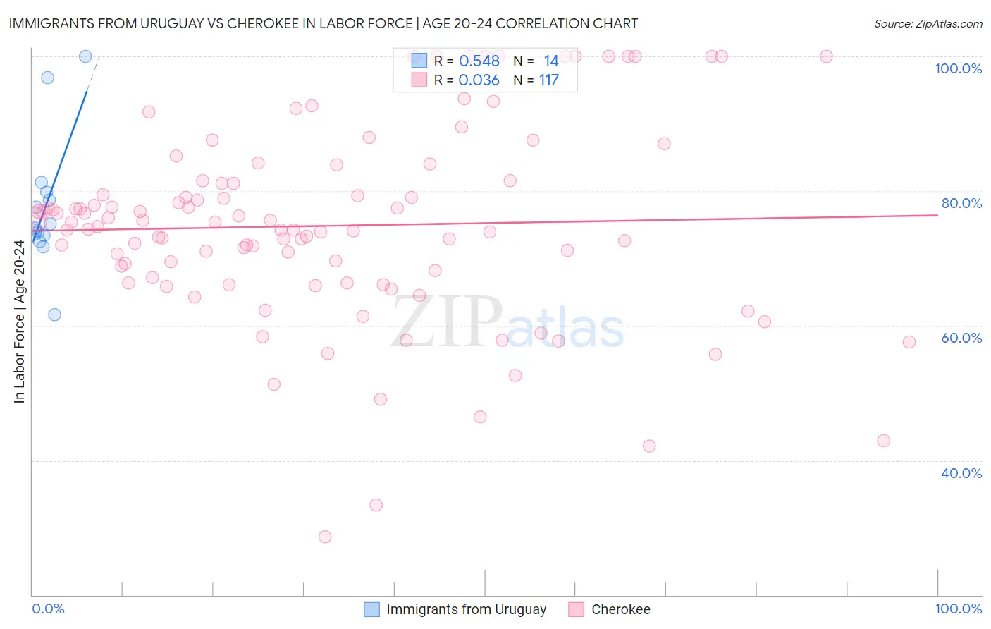 Immigrants from Uruguay vs Cherokee In Labor Force | Age 20-24