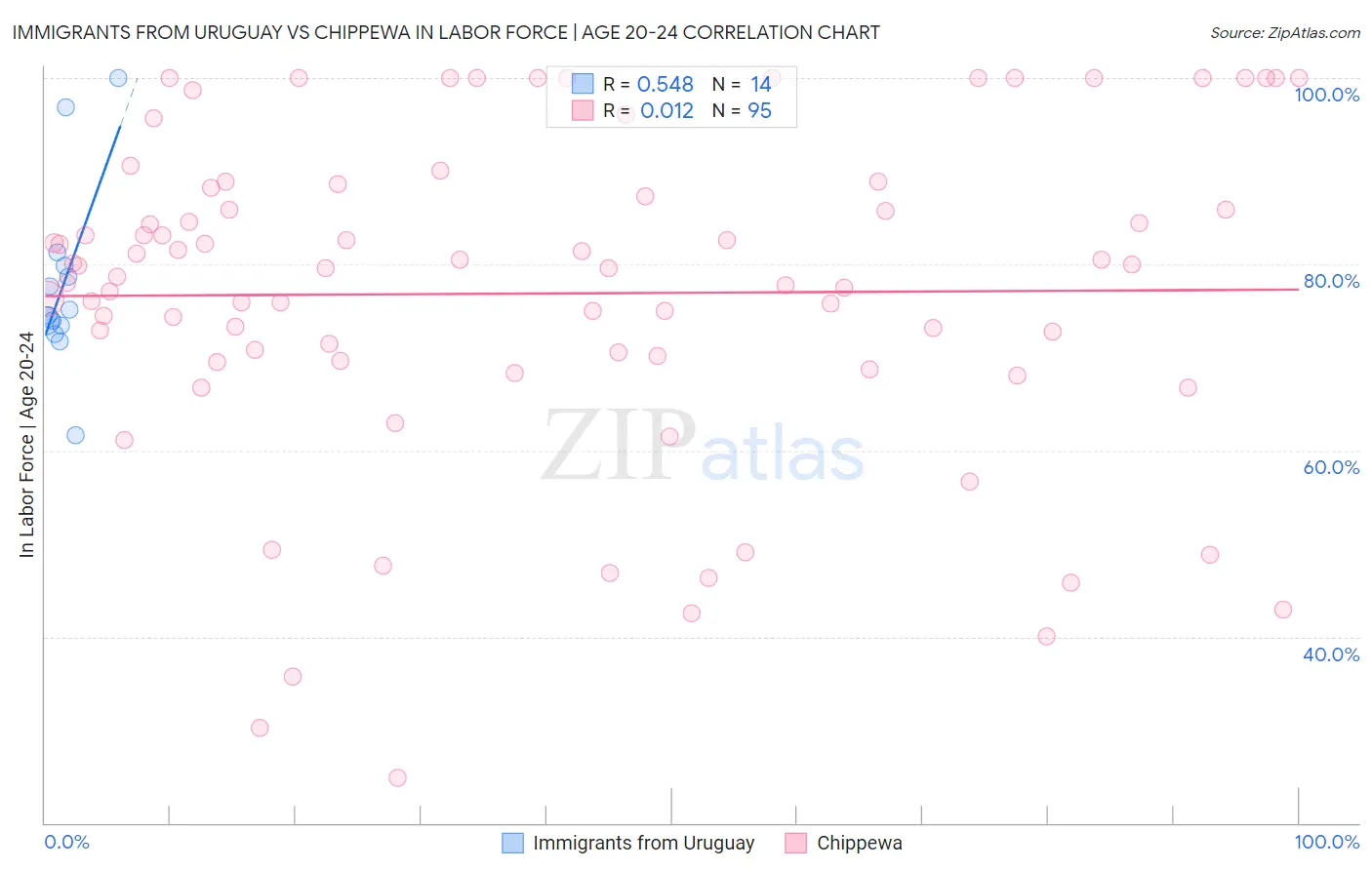 Immigrants from Uruguay vs Chippewa In Labor Force | Age 20-24