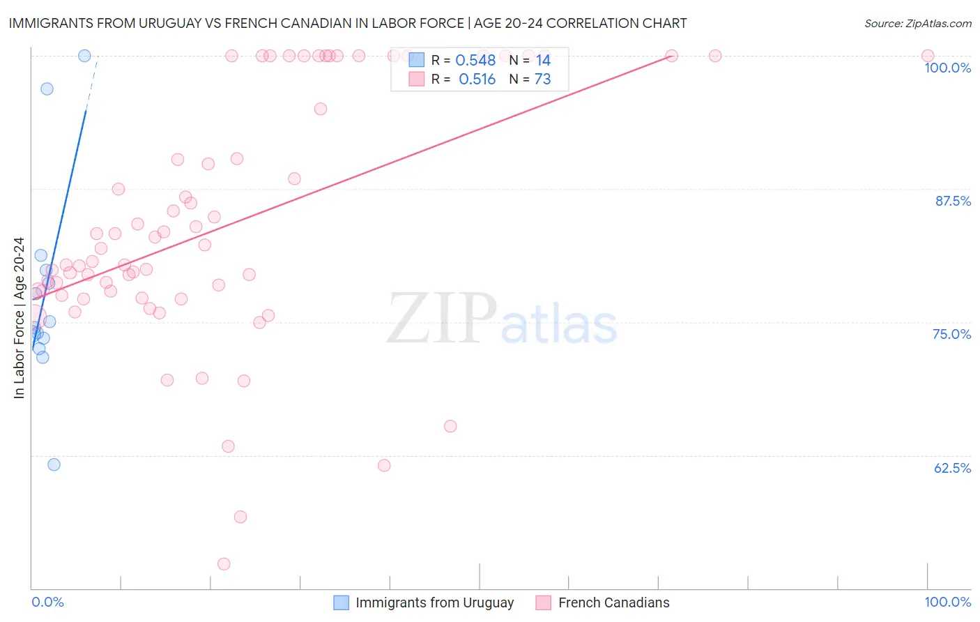 Immigrants from Uruguay vs French Canadian In Labor Force | Age 20-24