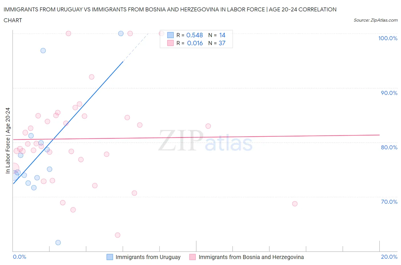 Immigrants from Uruguay vs Immigrants from Bosnia and Herzegovina In Labor Force | Age 20-24