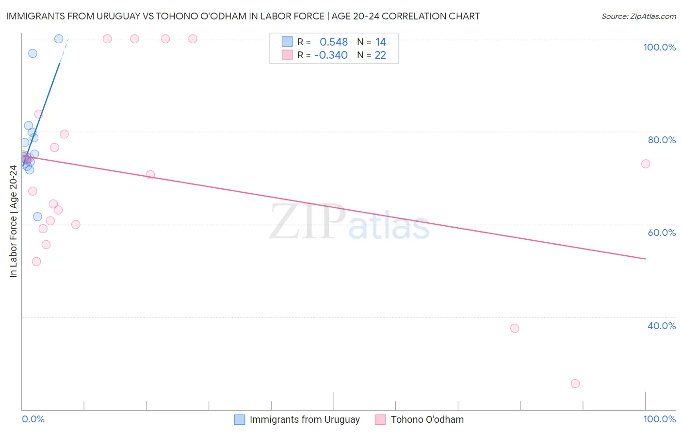 Immigrants from Uruguay vs Tohono O'odham In Labor Force | Age 20-24