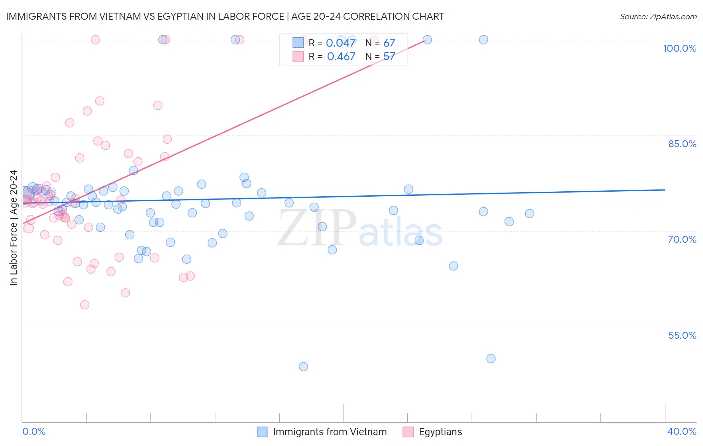 Immigrants from Vietnam vs Egyptian In Labor Force | Age 20-24
