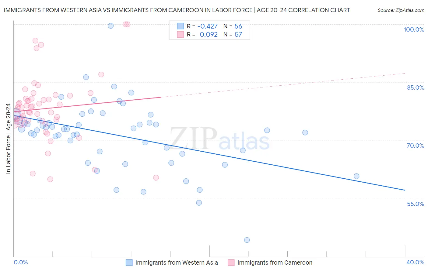 Immigrants from Western Asia vs Immigrants from Cameroon In Labor Force | Age 20-24