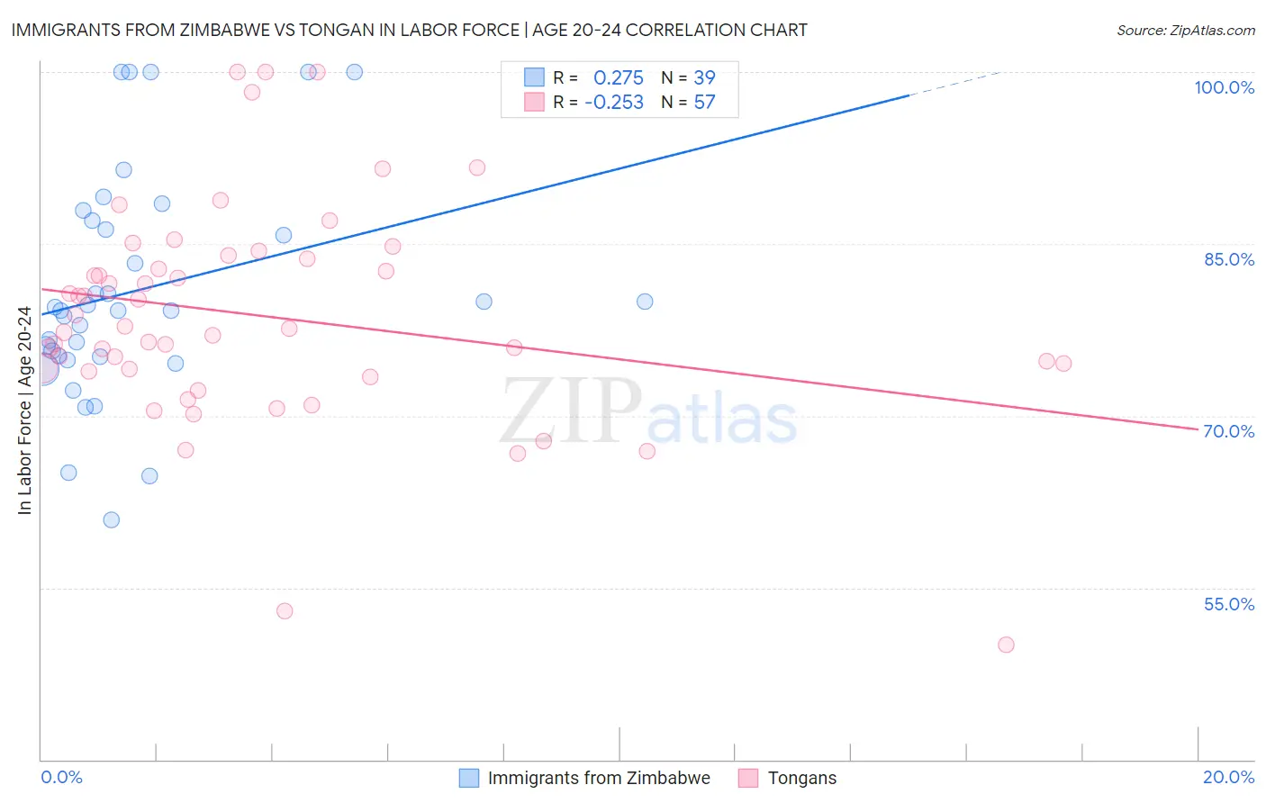 Immigrants from Zimbabwe vs Tongan In Labor Force | Age 20-24