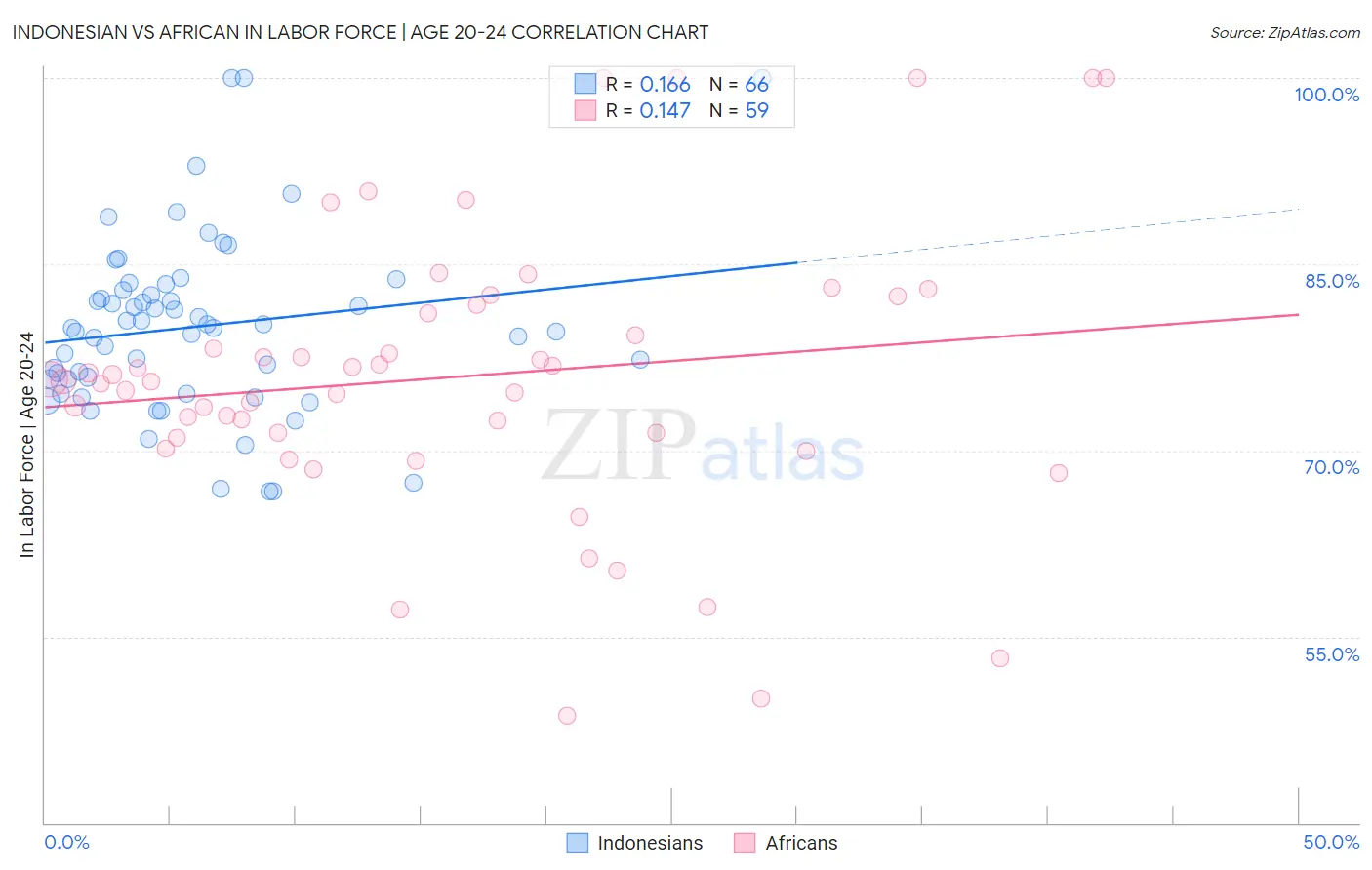 Indonesian vs African In Labor Force | Age 20-24
