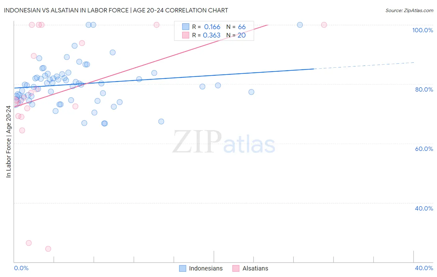 Indonesian vs Alsatian In Labor Force | Age 20-24