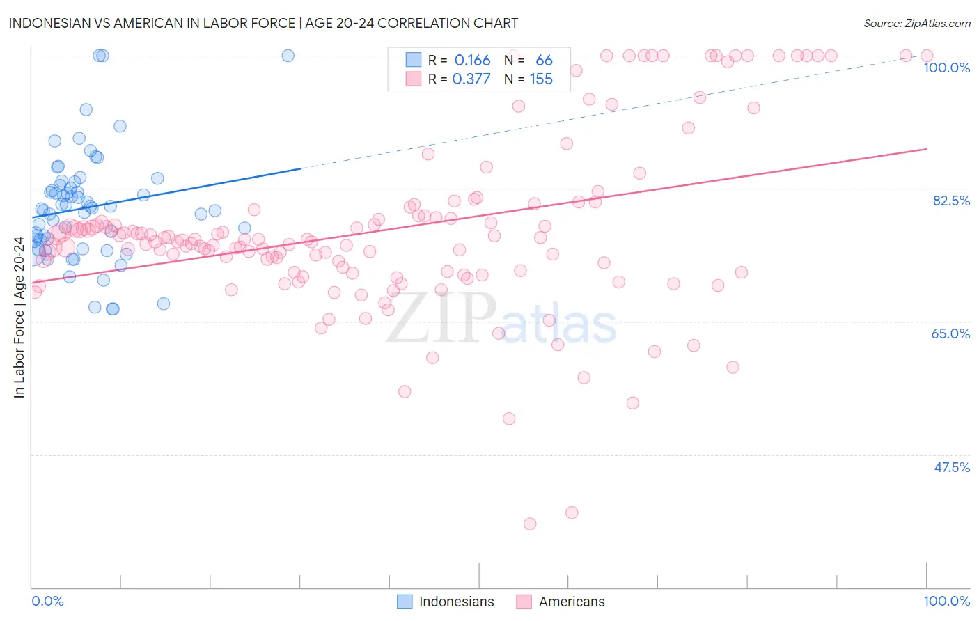Indonesian vs American In Labor Force | Age 20-24