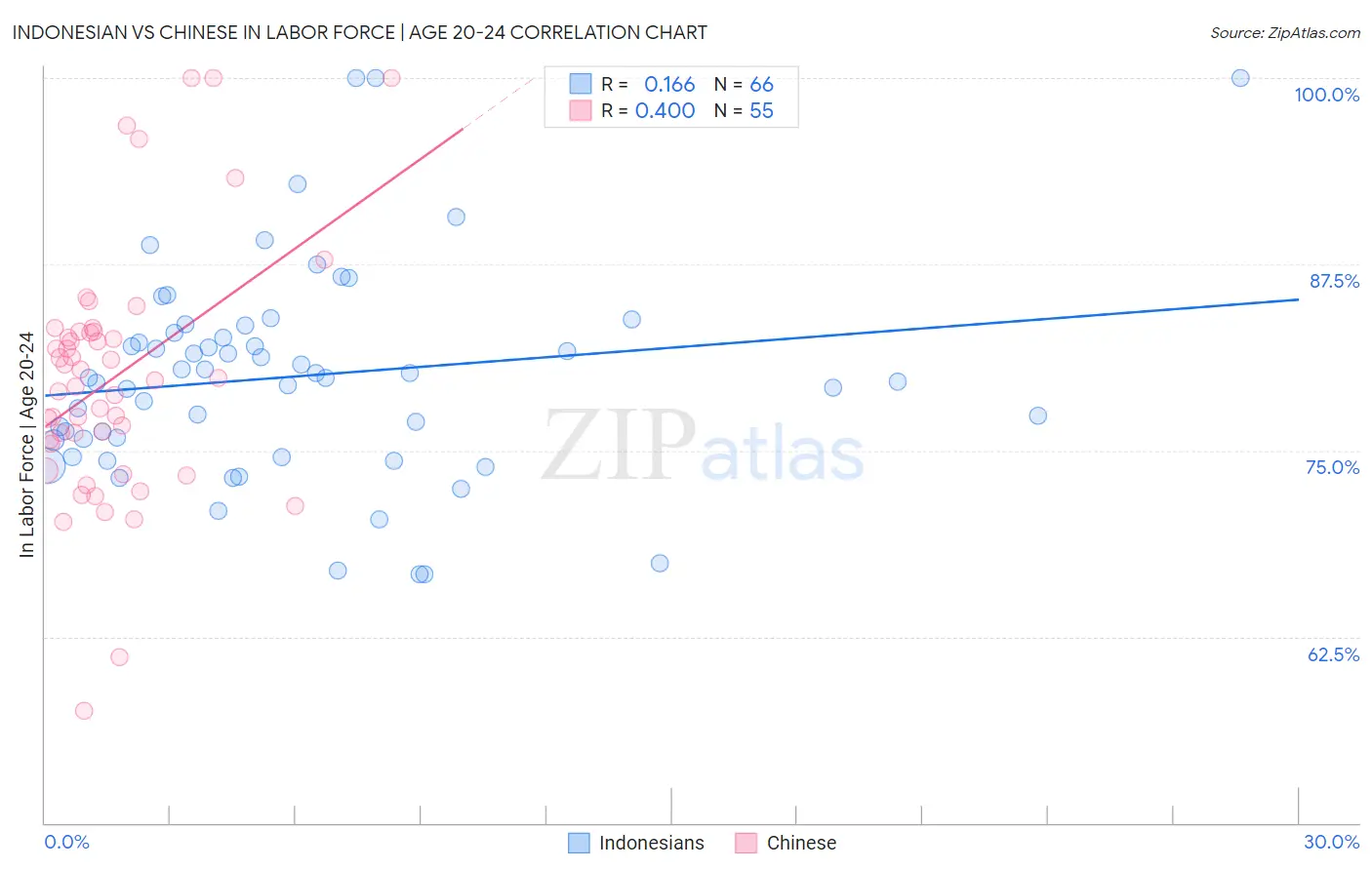 Indonesian vs Chinese In Labor Force | Age 20-24