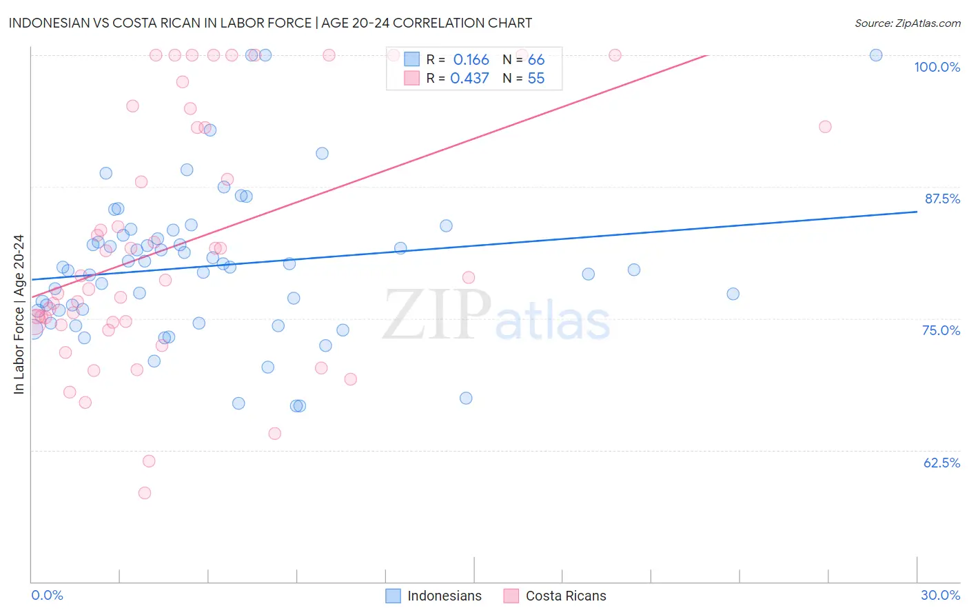 Indonesian vs Costa Rican In Labor Force | Age 20-24