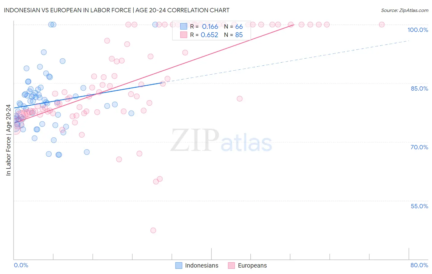 Indonesian vs European In Labor Force | Age 20-24