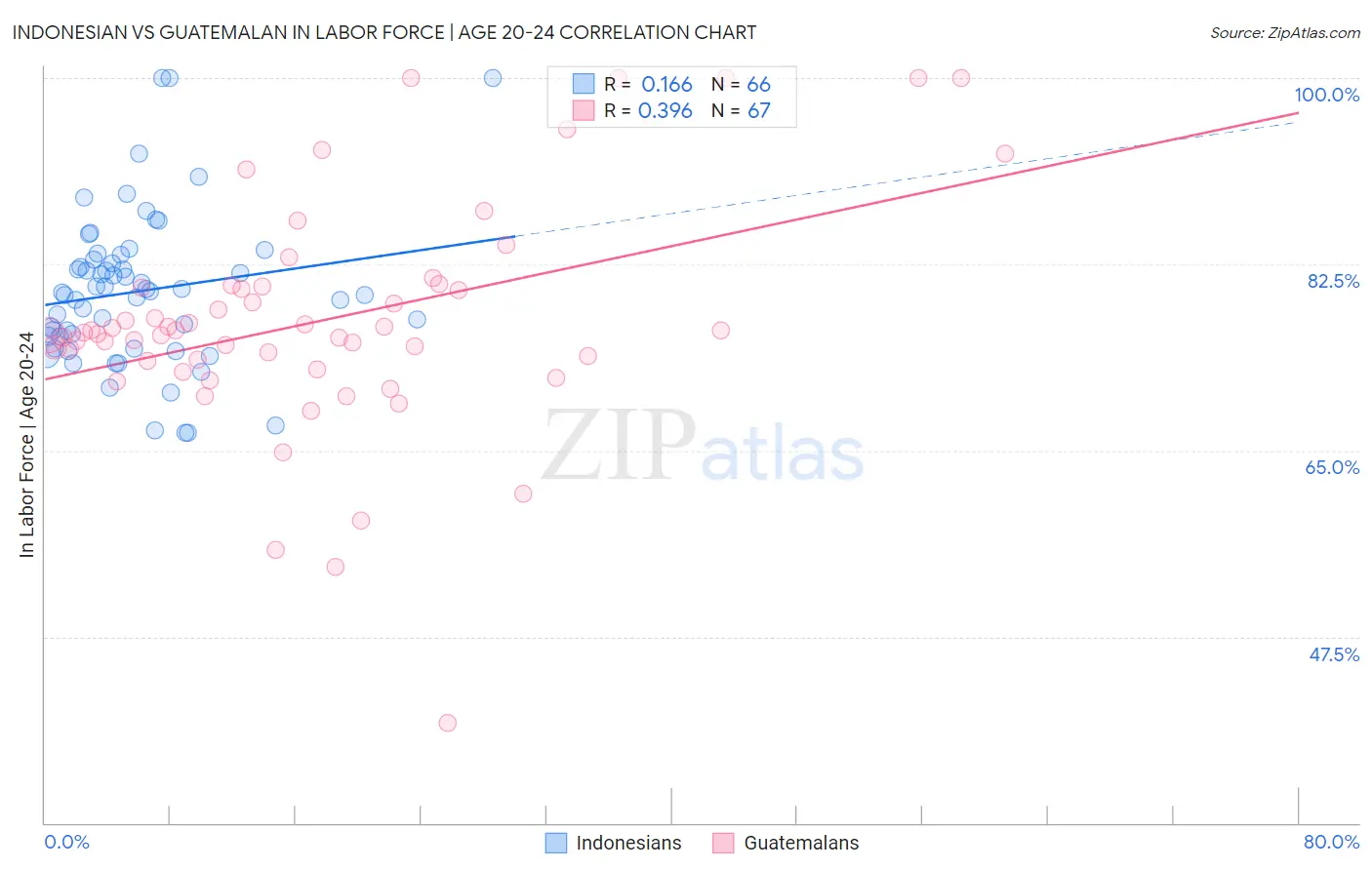 Indonesian vs Guatemalan In Labor Force | Age 20-24