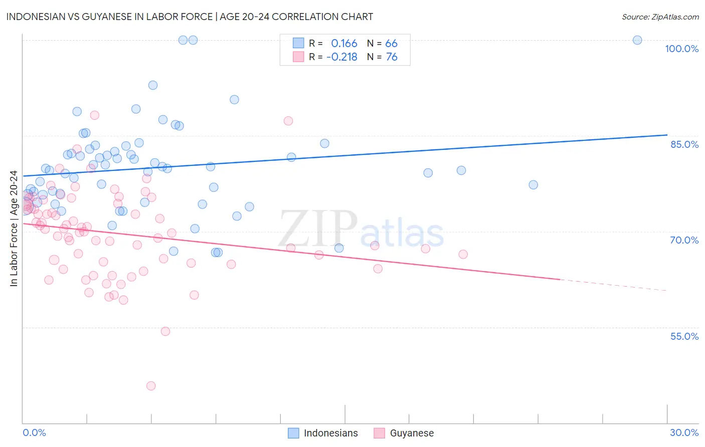 Indonesian vs Guyanese In Labor Force | Age 20-24