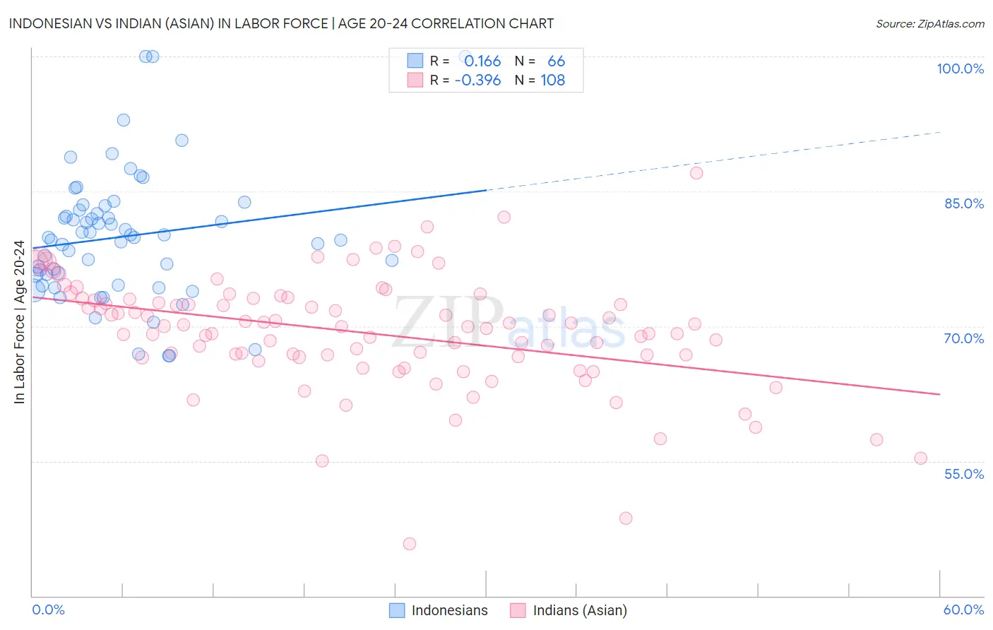 Indonesian vs Indian (Asian) In Labor Force | Age 20-24