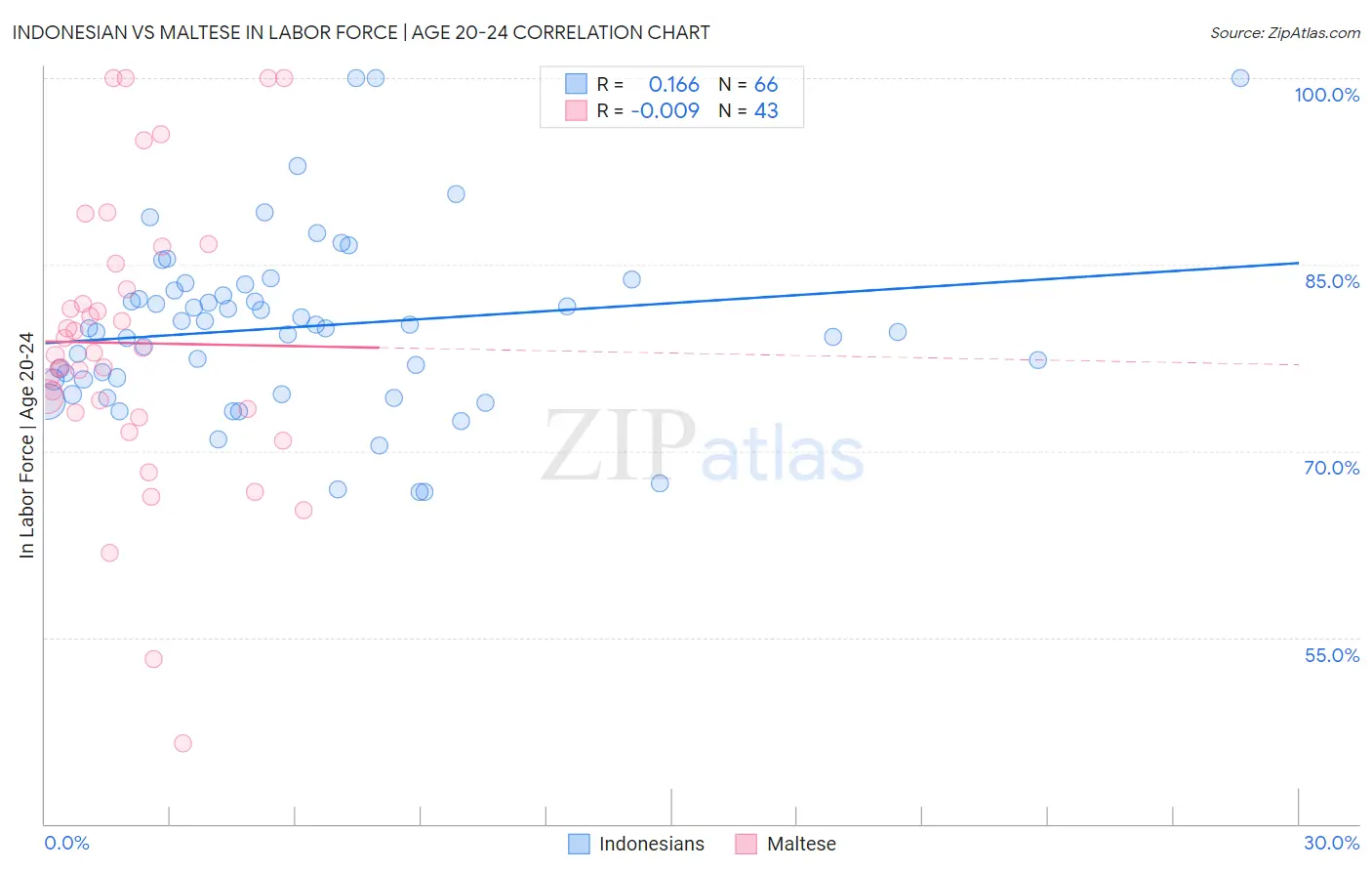 Indonesian vs Maltese In Labor Force | Age 20-24