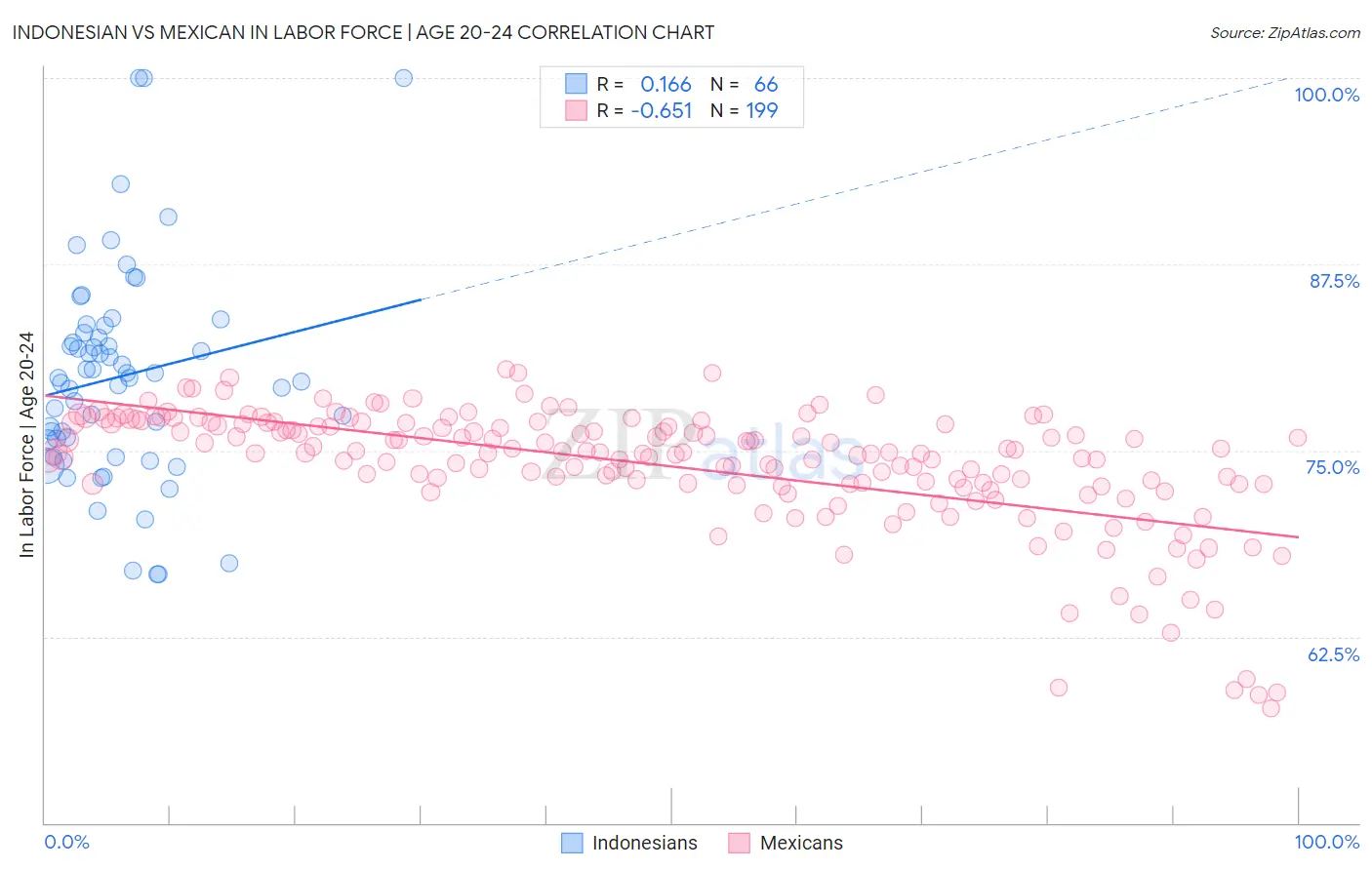 Indonesian vs Mexican In Labor Force | Age 20-24