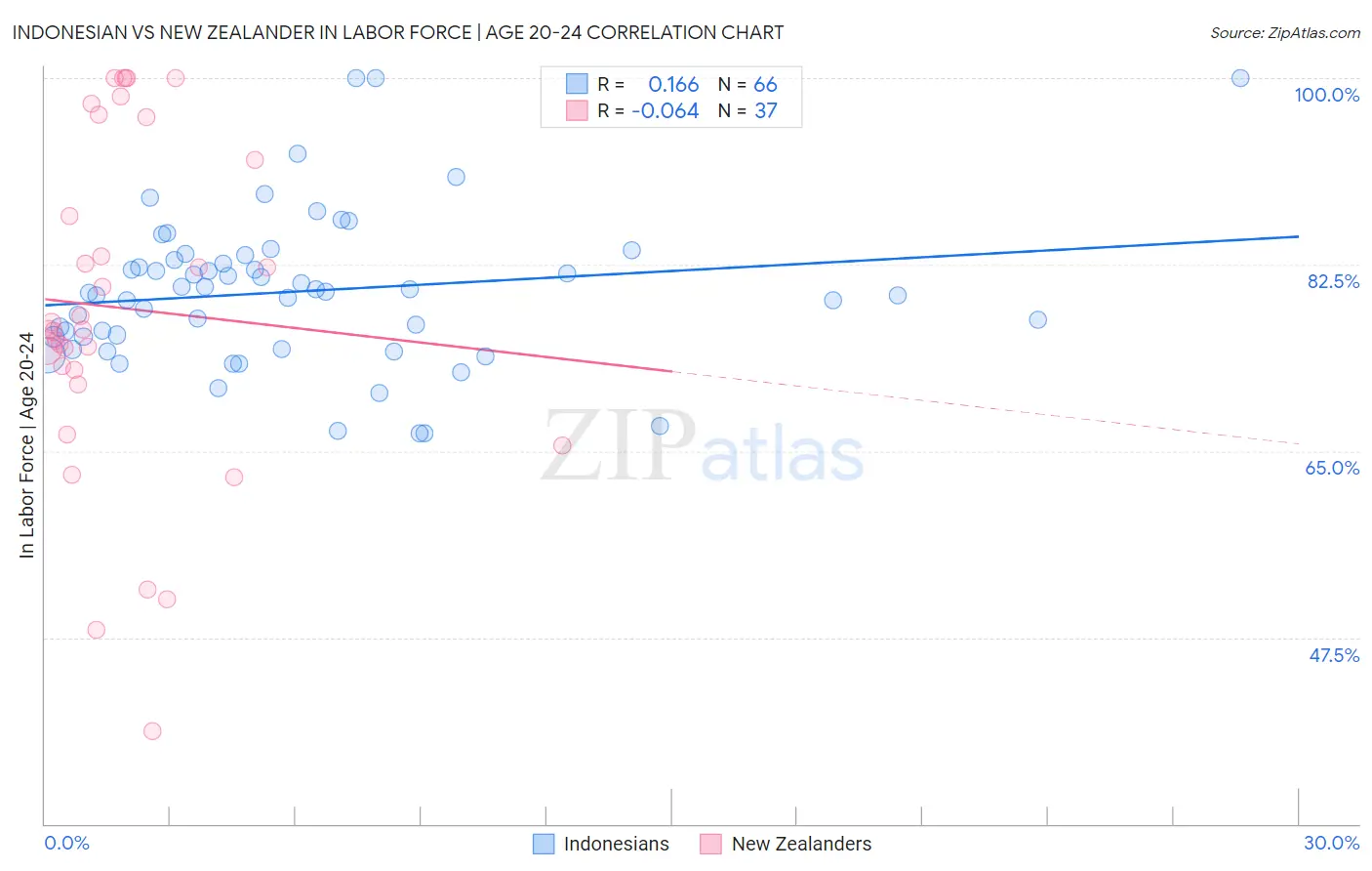 Indonesian vs New Zealander In Labor Force | Age 20-24
