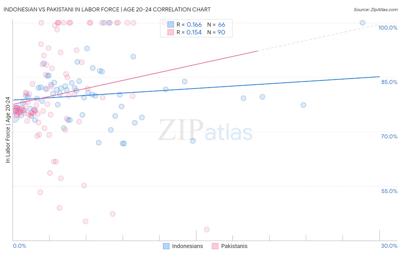 Indonesian vs Pakistani In Labor Force | Age 20-24