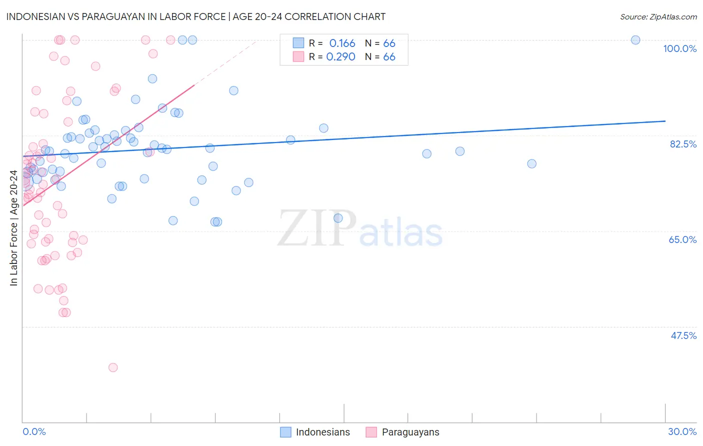 Indonesian vs Paraguayan In Labor Force | Age 20-24