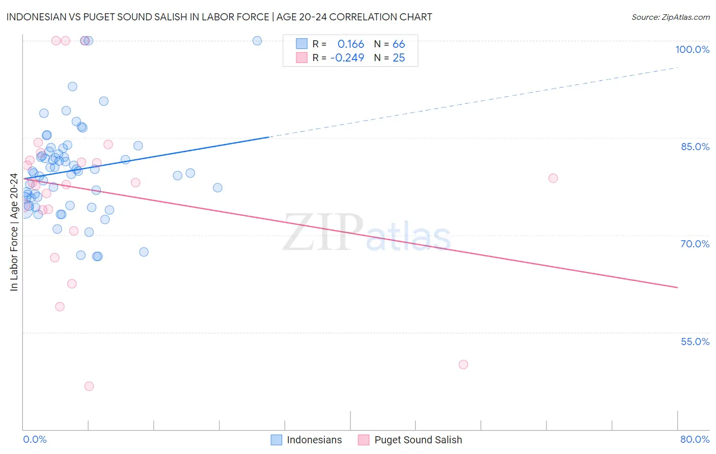 Indonesian vs Puget Sound Salish In Labor Force | Age 20-24