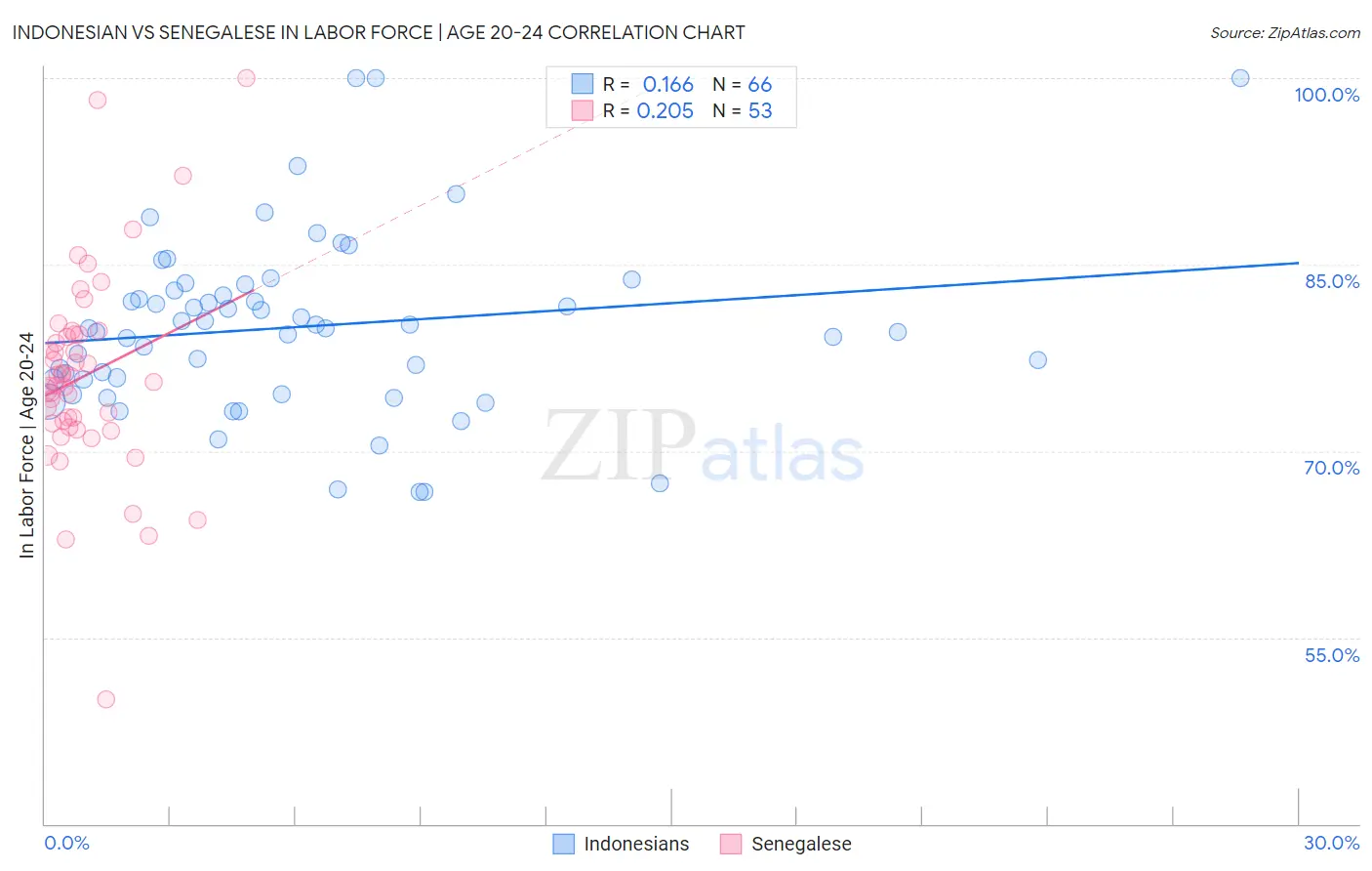 Indonesian vs Senegalese In Labor Force | Age 20-24