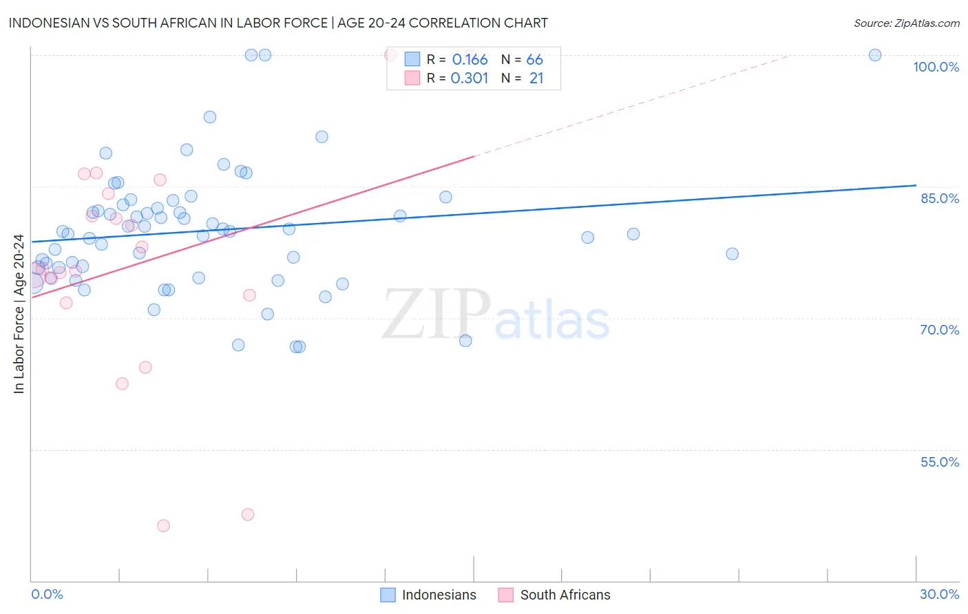 Indonesian vs South African In Labor Force | Age 20-24