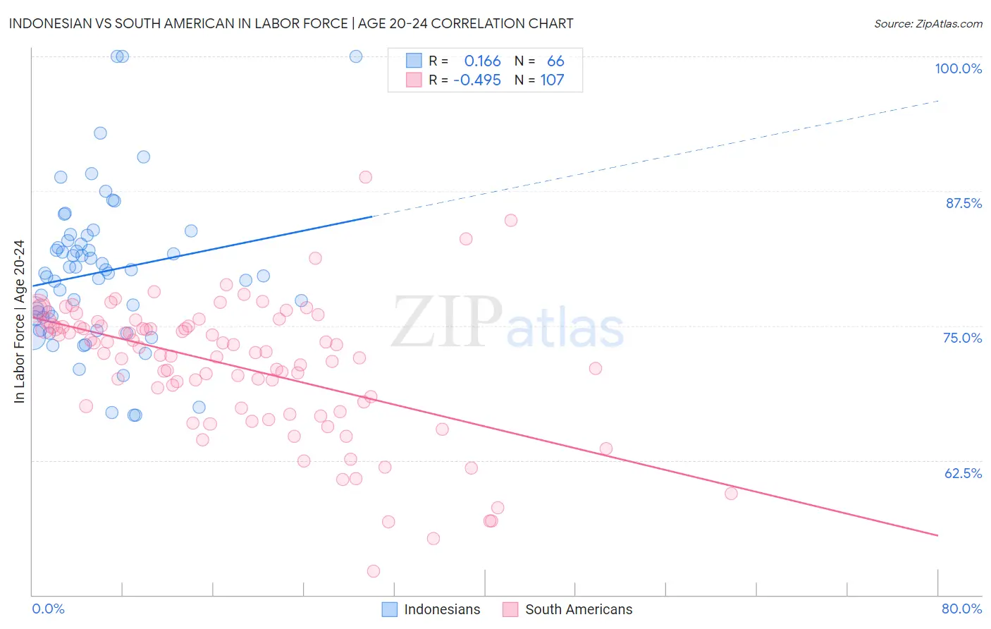 Indonesian vs South American In Labor Force | Age 20-24