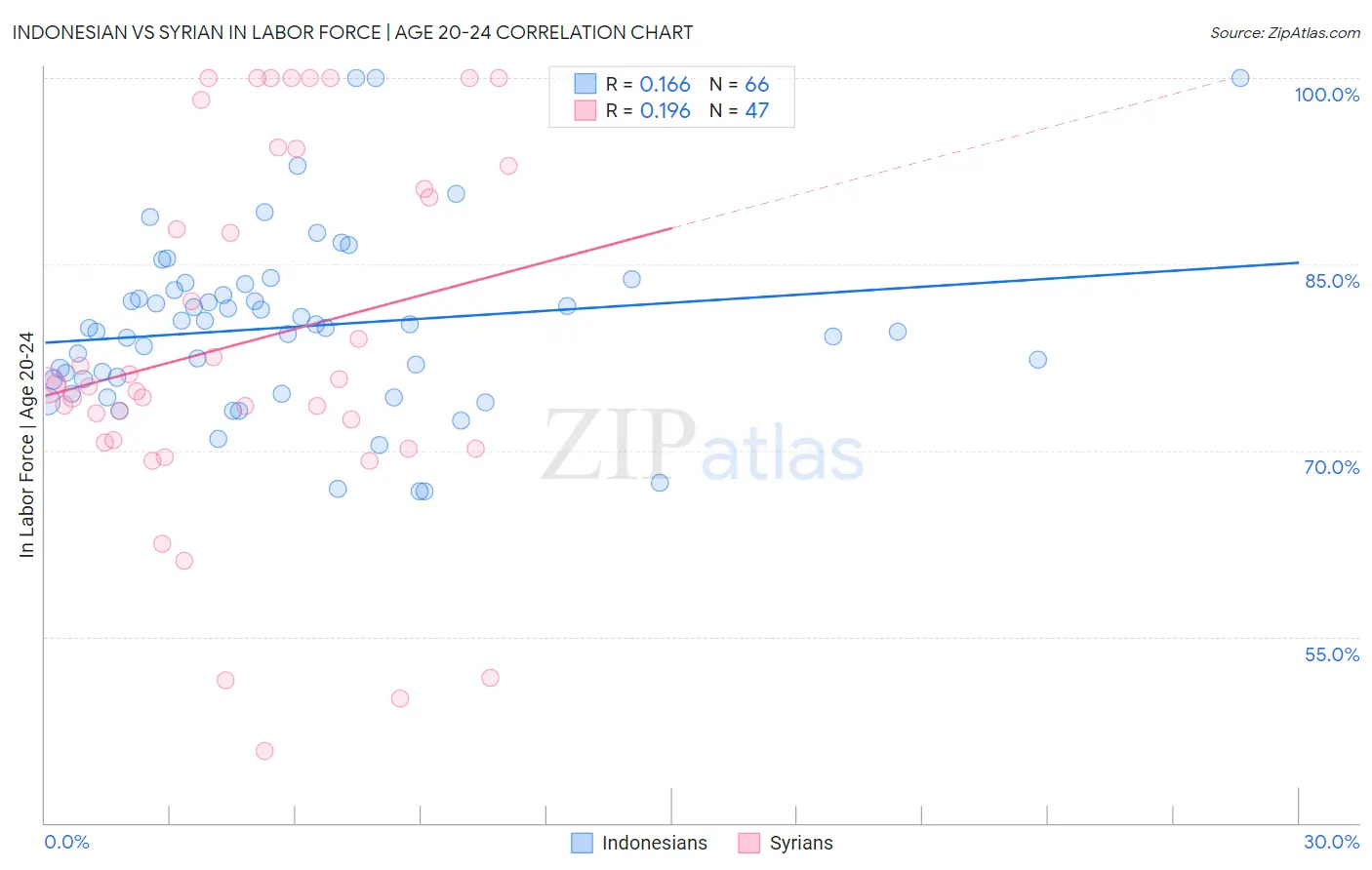 Indonesian vs Syrian In Labor Force | Age 20-24