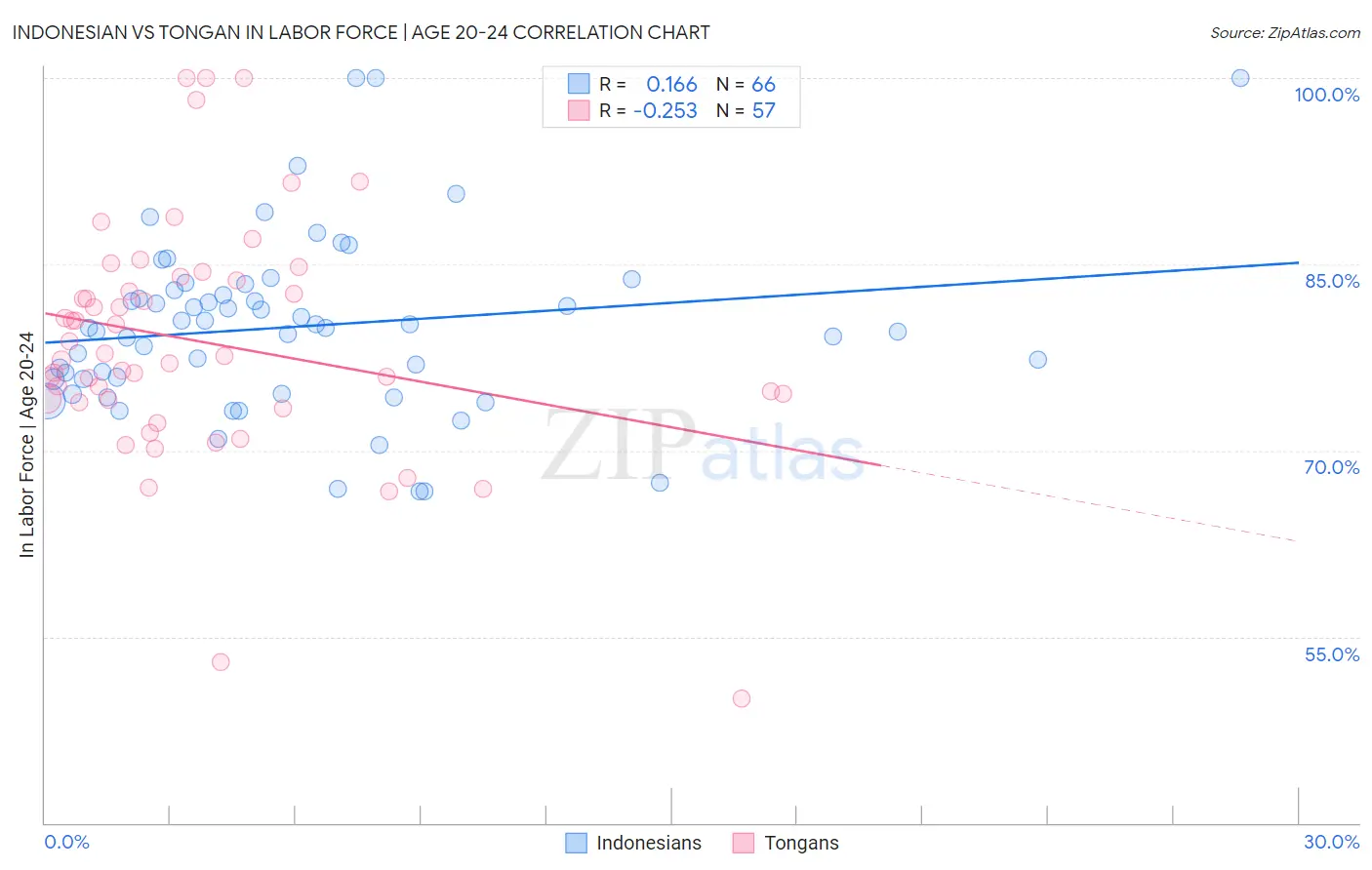 Indonesian vs Tongan In Labor Force | Age 20-24