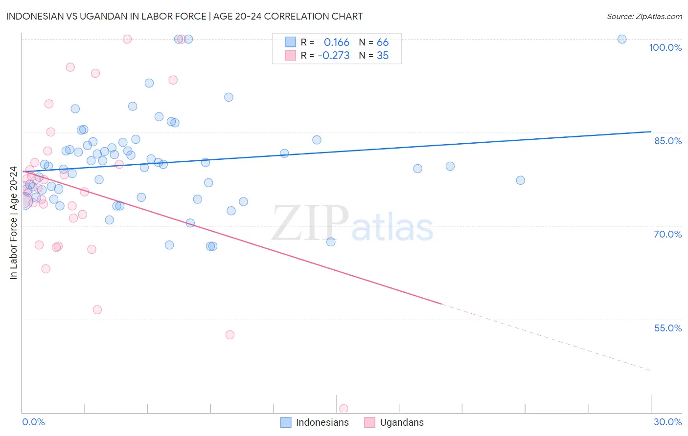 Indonesian vs Ugandan In Labor Force | Age 20-24