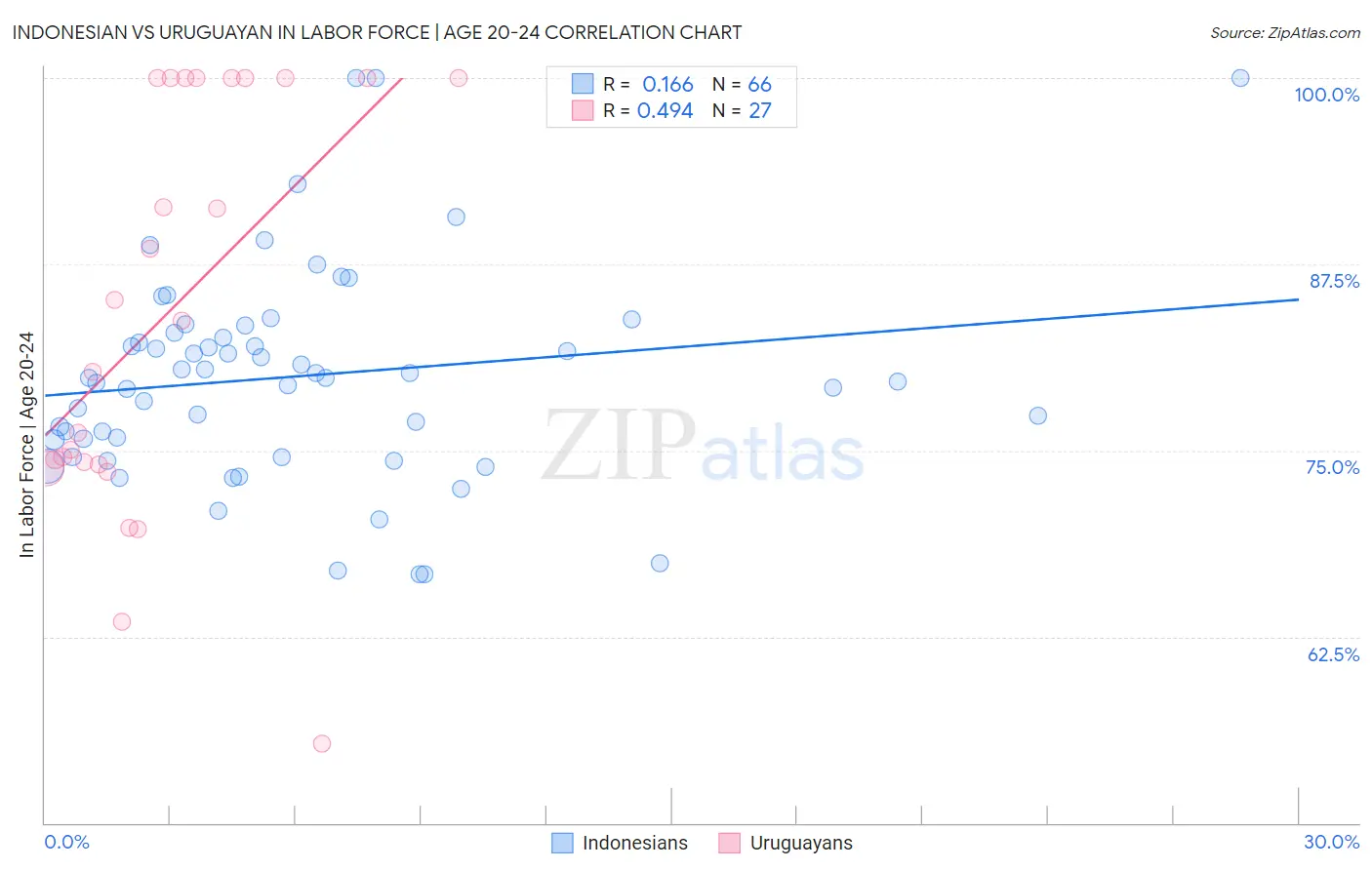 Indonesian vs Uruguayan In Labor Force | Age 20-24