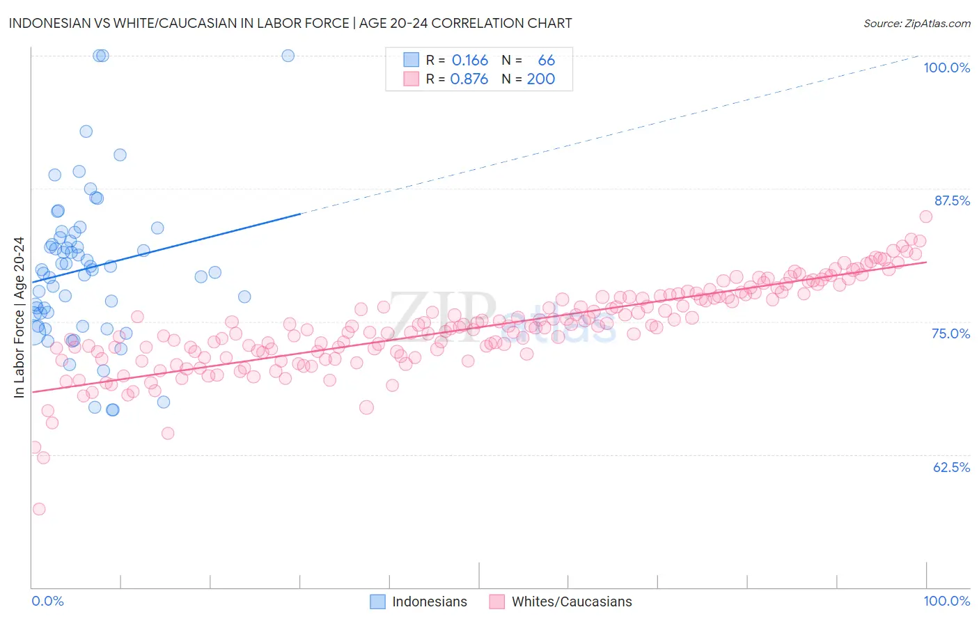 Indonesian vs White/Caucasian In Labor Force | Age 20-24
