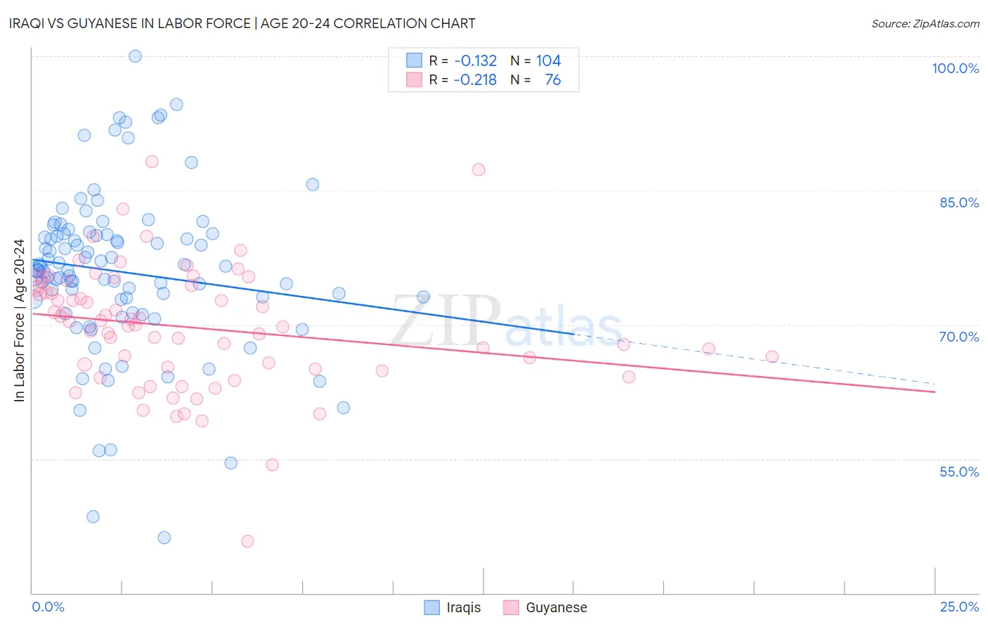 Iraqi vs Guyanese In Labor Force | Age 20-24