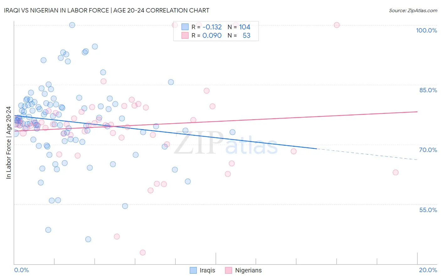 Iraqi vs Nigerian In Labor Force | Age 20-24