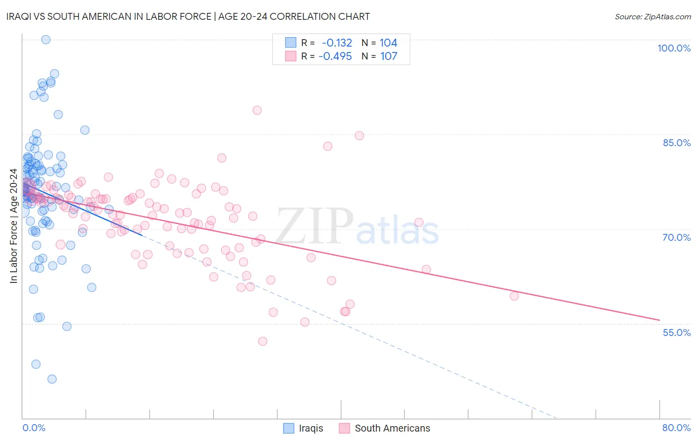 Iraqi vs South American In Labor Force | Age 20-24