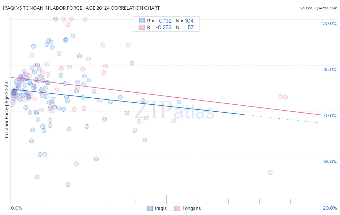 Iraqi vs Tongan In Labor Force | Age 20-24